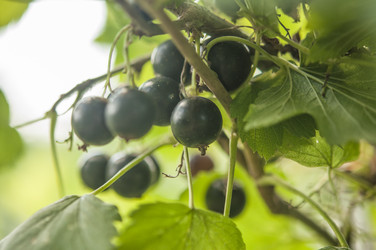 Similar image 20983829