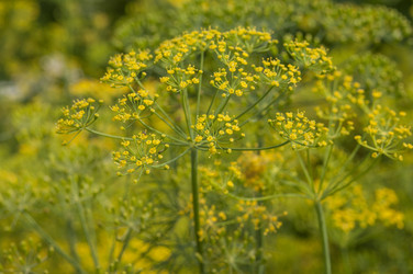 Similar image 20983830