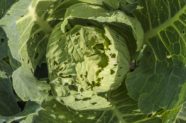 Similar image 20983833