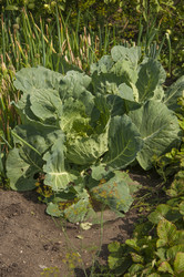 Similar image 20983834