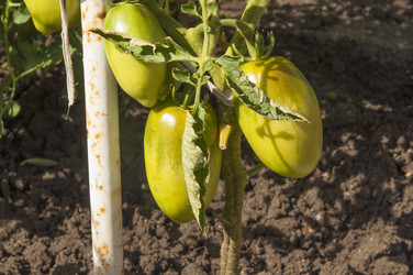 Similar image 20983835