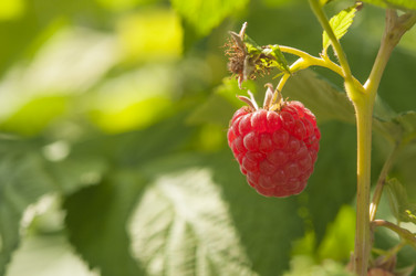 Similar image 20983836