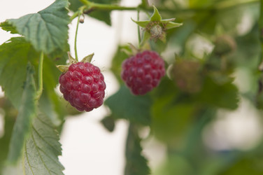 Similar image 20983837