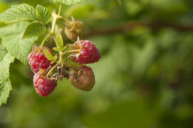 Similar image 20983838