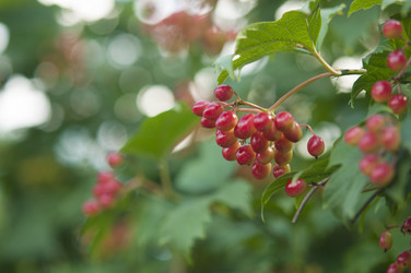 Similar image 20983840