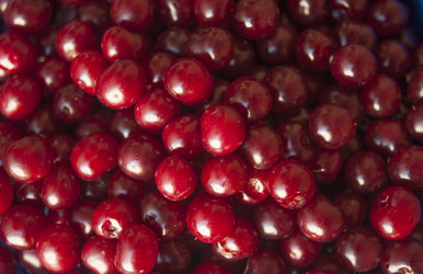 Similar image 20983844