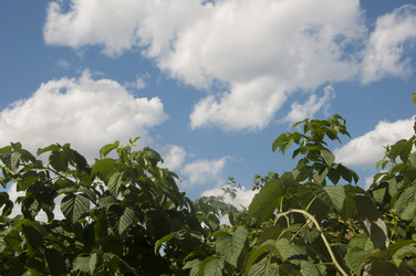 Similar image 20983845