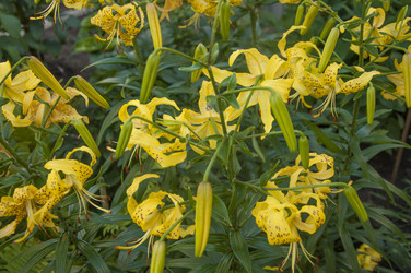 Similar image 20983847