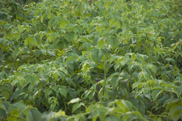 Similar image 20983850