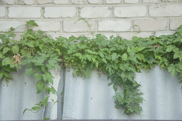 Similar image 20983852