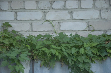 Similar image 20983853