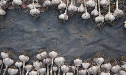 Similar image 20983854