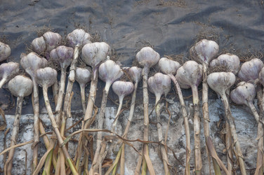 Similar image 20983855