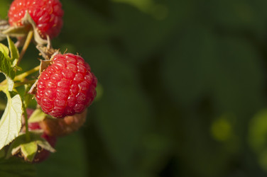 Similar image 20983858