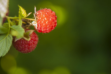 Similar image 20983859