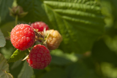 Similar image 20983860