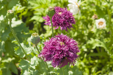 Similar image 20983862