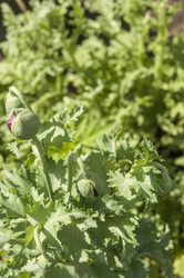 Similar image 20983864