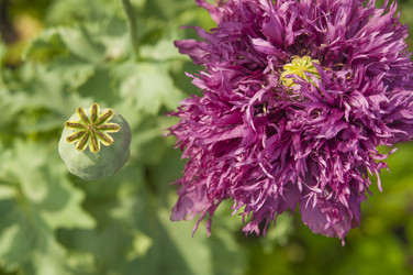 Similar image 20983865