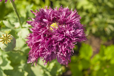 Similar image 20983866