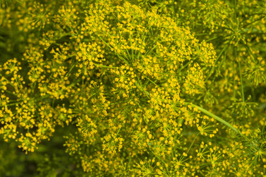 Similar image 20983868