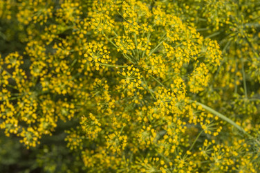 Similar image 20983869