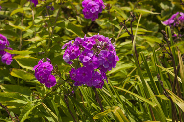 Similar image 20983871