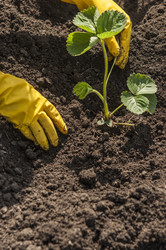 Similar image 20983874