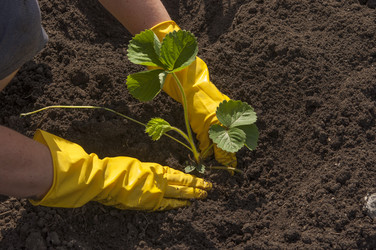 Similar image 20983875