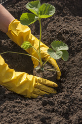 Similar image 20983877