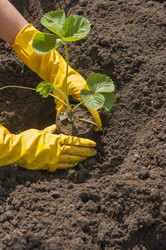 Similar image 20983878