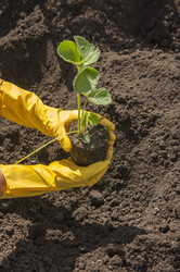 Similar image 20983879