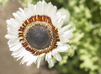 Similar image 20983880