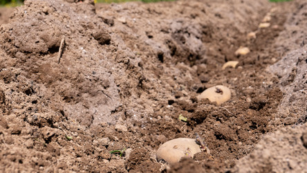 Similar image 20986978