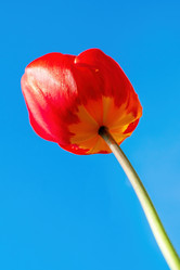 Similar image 20986984