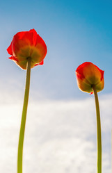 Similar image 20986985