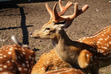 Similar image 20976645