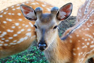 Similar image 20979208