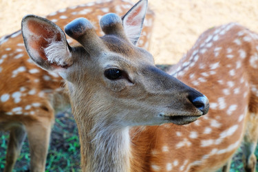 Similar image 20979209