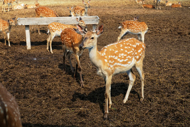 Similar image 20979210