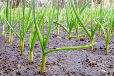 Similar image 20987016