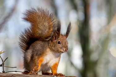 Similar image 20986690