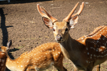 Similar image 20976647