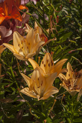 Similar image 20983745