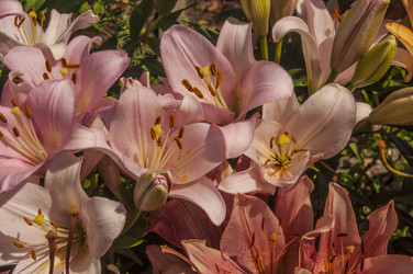 Similar image 20983746