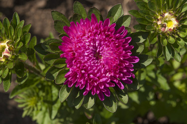 Similar image 20983747