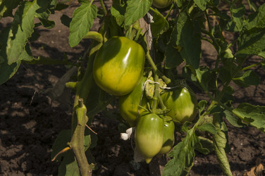 Similar image 20983749