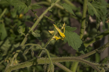 Similar image 20983750