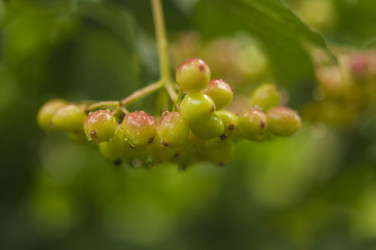 Similar image 20983753