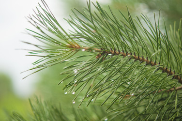 Similar image 20983754